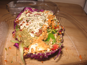 Steves purple burrito from the raw food restaurant