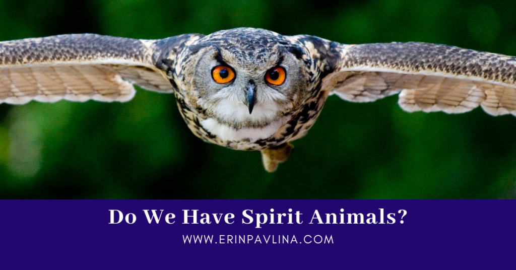 Do We Have Spirit Animals? Do We Have Spirit Animals?